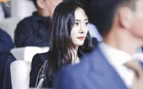 Cuối cùng, Dương Mịch đã trở lại làm việc sau ồn ào ly hôn