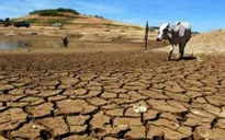 Khai mạc hội nghị Liên Hợp Quốc về biến đổi khí hậu (COP 24)