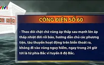 Đảm bảo an toàn cho người, vật nuôi trong đợt ATNĐ, mưa lũ và rét đậm rét hại