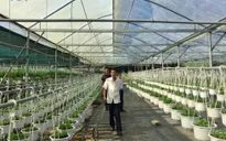Tiếp tục cắt giảm thủ tục hành chính thu hút đầu tư nông nghiệp