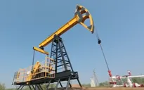 Qatar rút khỏi OPEC có gây ra bất ổn gì cho thị trường vàng đen?