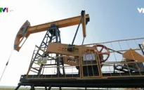 Phản ứng về quyết định rút khỏi OPEC của Qatar