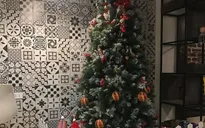 Dịch vụ cho thuê cây thông Noel sôi động dịp cận Giáng sinh