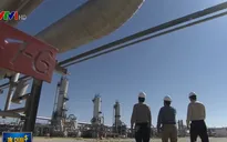 Iraq có thể là thành viên tiếp theo rời OPEC