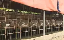 Trang trại đạt quy trình thực hành chăn nuôi lợn theo VietGAHP ở Đồng Nai