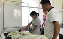 Hơn 200 người ngộ độc ở Đắk Lắk do bánh mì nhiễm khuẩn Salmonella