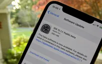 Cập nhật iOS 12.1.1: Chuyển camera FaceTime chỉ với một cái chạm tay