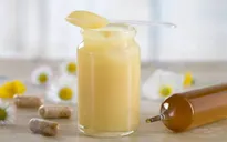 Sữa ong chúa - Vị thuốc bổ cao cấp!