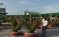 Trải nghiệm vườn kiểng thú bông trang lớn nhất nhì ở miền Tây