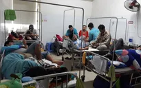 Đà Nẵng tăng cường phòng chống sốt xuất huyết