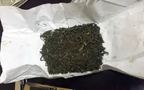 Vạch trần đường dây buôn bán cỏ Mỹ trên ứng dụng giao hàng điện tử