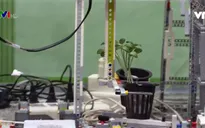 Nhiều mô hình sáng tạo của thí sinh Việt Nam tại cuộc thi robot thế giới 2018