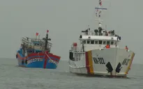 Cứu nạn thành công tàu cá cùng 9 ngư dân