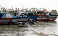 Hơn 76,5 tỷ đồng hỗ trợ tàu cá đánh bắt xa bờ tỉnh Thừa Thiên Huế