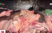 Bắt 1,4 tấn sản phẩm động vật bốc mùi hôi thối đang trên đường đi tiêu thụ