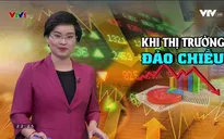 Khi thị trường chứng khoán đảo chiều: Tham lam hay sợ hãi?