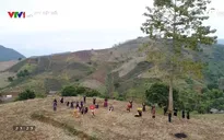 Xuân về trong trái tim đồng bào: Không khí Xuân rộn ràng nơi núi rừng Tây Bắc