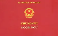 Bắt giữ nhóm đối tượng tổ chức thi và cấp chứng chỉ ngoại ngữ giả