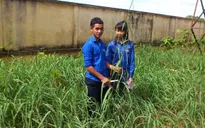 Ba thế hệ học sinh dân tộc thiểu số chế tạo sản phẩm từ cây dại trong vườn