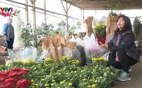 Người Việt tại Mỹ tất bật chuẩn bị Tết Mậu Tuất