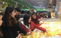 Nhiều cửa hàng tại Hà Nội không nghỉ Tết