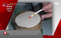 Tác hại khi ăn giò chả chứa hàn the