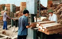 Huyện Văn Yên (Yên Bái): Bước đột phá mới về phát triển kinh tế - xã hội