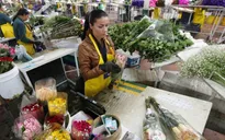 Valentine - Cơ hội việc làm cho lao động nghèo ở Colombia