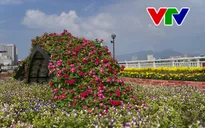 Thời tiết 3 miền khá đẹp vào dịp Tết Nguyên Đán