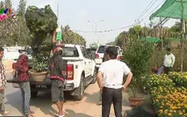 Chợ hoa Tết ở Phnom Penh, Campuchia