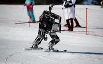 ROBOT - người bạn đồng hành đặc biệt tại PyeongChang 2018