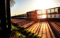 Nắng xuân lan tỏa khắp phía Bắc miền Trung trong ngày mùng 2 Tết