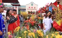 Tết Việt với thế hệ người Việt thứ 2 ở Mỹ