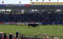 Đẩy mạnh công tác quản lý, tổ chức lễ hội năm 2018