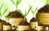 Nhiều ngân hàng trả cổ tức gần 70%