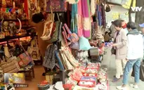 Nhiều khách nước ngoài đến Việt Nam dịp Tết Nguyên đán