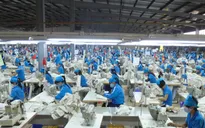 Việt Nam và Ấn Độ nâng kim ngạch XNK dệt may lên 80 tỉ USD năm 2020
