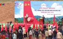 Chủ tịch nước phát động Tết trồng cây đời đời nhớ ơn Bác Hồ
