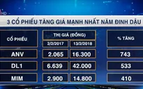 Đâu là các cổ phiếu "hợp mệnh" nhất trong năm Đinh Dậu?