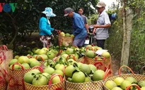 Tiền Giang đề ra 7 nhóm giải pháp phát triển kinh tế xã hội bền vững