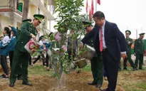 Hà Nội trồng 150.000 cây xanh dịp Tết Kỷ Hợi 2019