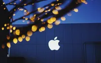 Apple là công ty sáng tạo nhất thế giới
