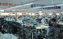 Nhiều tín hiệu lạc quan từ các doanh nghiệp tại Cần Thơ