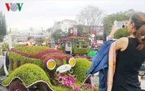 Đà Lạt thu hút hơn 280.000 lượt khách đến du xuân