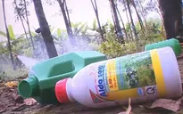 Người dân vô tư dùng thuốc diệt cỏ