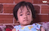 Cặp lá yêu thương: Tiếng hát chim én nhỏ