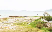 Khánh Hòa thu hồi dự án Nha Trang Sao