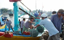 Ngư dân Bình Thuận săn "lộc biển" đầu năm