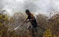 Indonesia: Quốc gia Đông Nam Á đầu tiên phát hành trái phiếu xanh