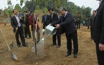 Phê duyệt Quy hoạch tổng thể phát triển Khu du lịch quốc gia Tân Trào